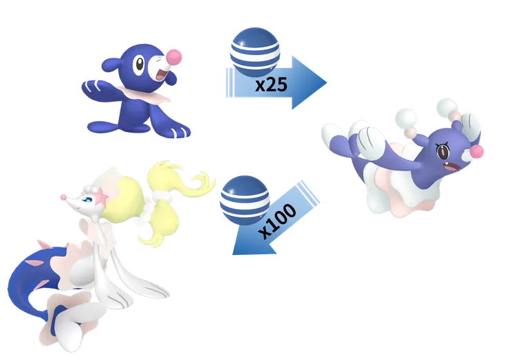 西獅海壬進化鏈