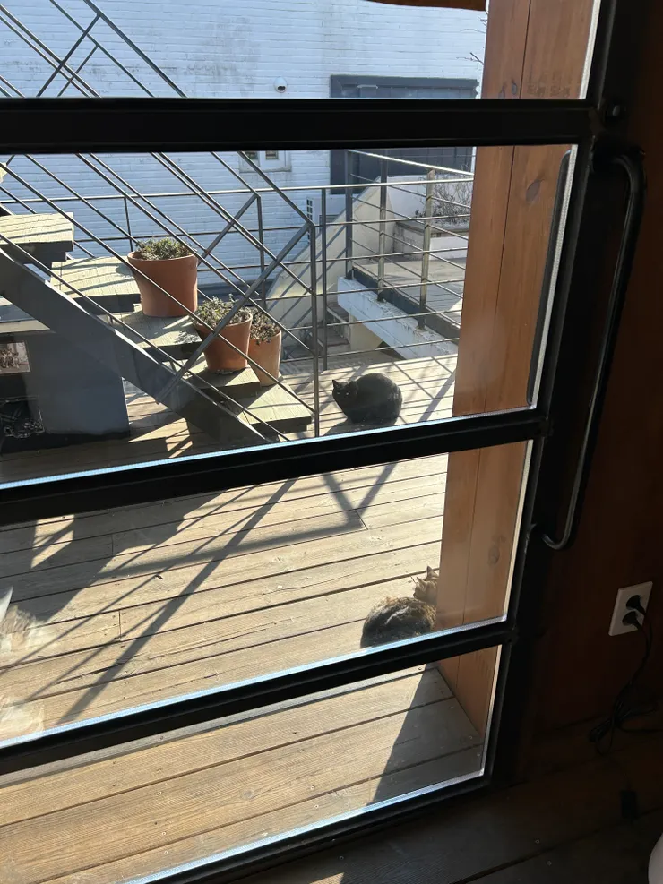 上了二樓就看到貓貓店長