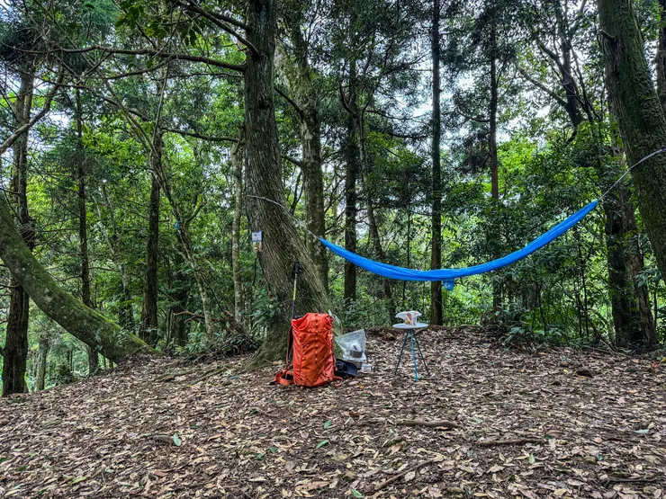 三叉路腹地平坦,很適合吊床廢一下。 大休30分鐘!!😊