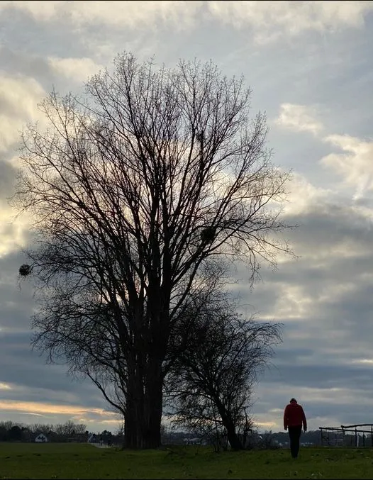 樹有多高天有多遠 他是我的比例尺