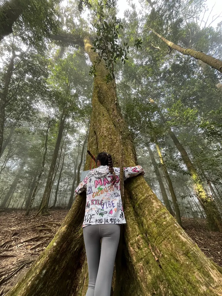 這樹漂亮到讓人忍不住想抱它一下