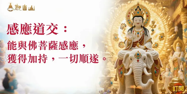 懺悔殺生業障~放生的好處 (4)