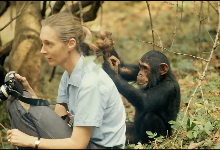 珍．古德（Jane Goodall, 1934–2025）