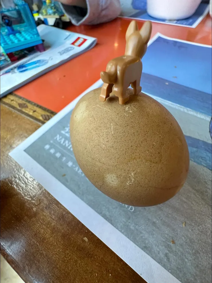 帶孩子旅行，你得隨身都有小玩意；兒子喜歡吃蛋