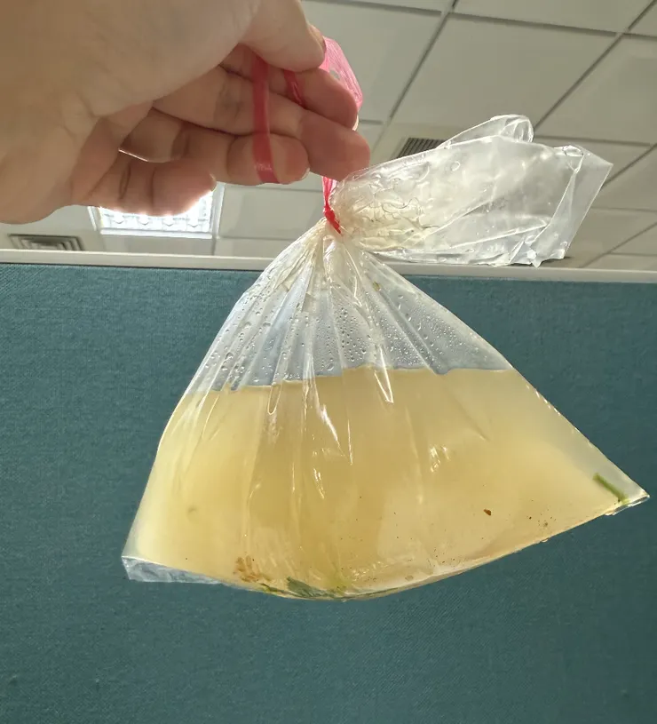 2026/01/28 熱湯有兩顆丸子