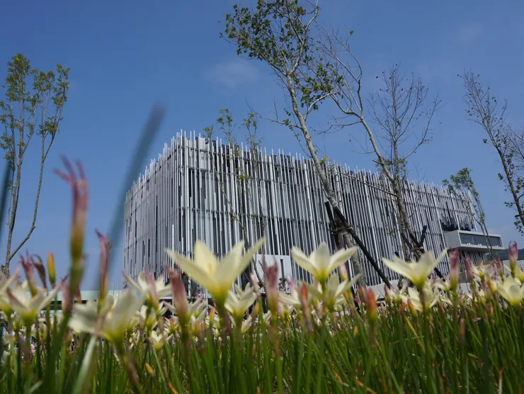 圖3：花叢中的新北市美術館。