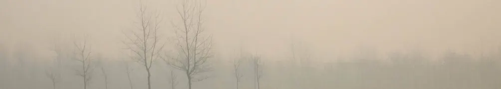 夜遊書之三：罌粟與黑暗記憶