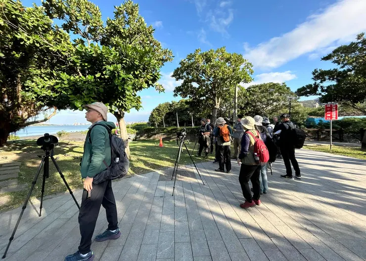 圖04 河邊公園有大量野鴿、家八哥、白尾八哥