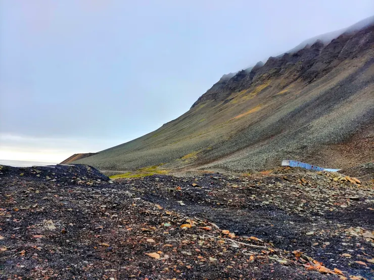 最後在離道路有段距離的神秘山谷停車。