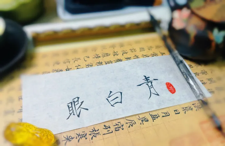 篇名題字取法瘦金體。我寫不出帝王的千鈞氣魄，只想學得那筆畫裡，一絲如嵇康白眼般的清峻與銳利。
