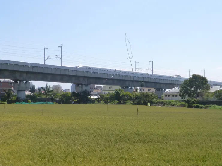 圖示：台灣高鐵列車高速通過台中大雅的小麥田。圖片來源為張居隱：https://tw.pixtastock.com/photo/124532317