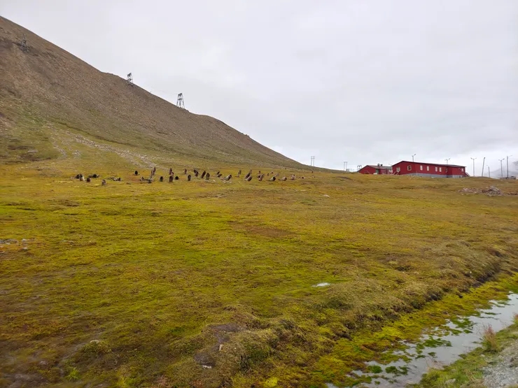 一號礦場，位於斯瓦巴教堂後方的山坡，山上仍留有運煤纜車的吊塔。此照片為當天早上拍攝。