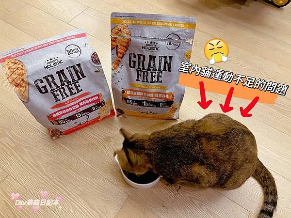 吃著Absolute holistic超越顛峰無穀貓糧的Dior