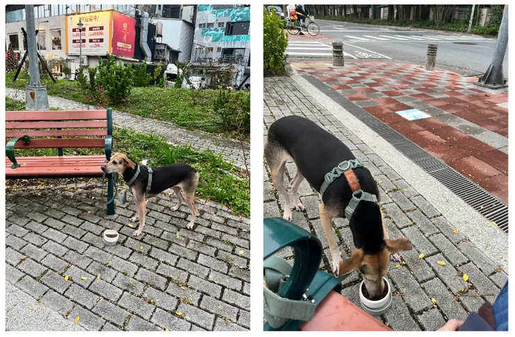 早上的吃飯 Level Up