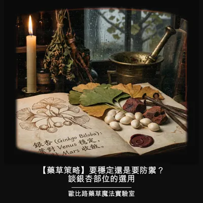 【藥草策略】要穩定還是要防禦？談銀杏部位的選用