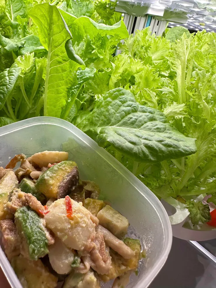 辣味酪梨馬鈴薯菇菇沙拉～搭配幸運樹萵苣