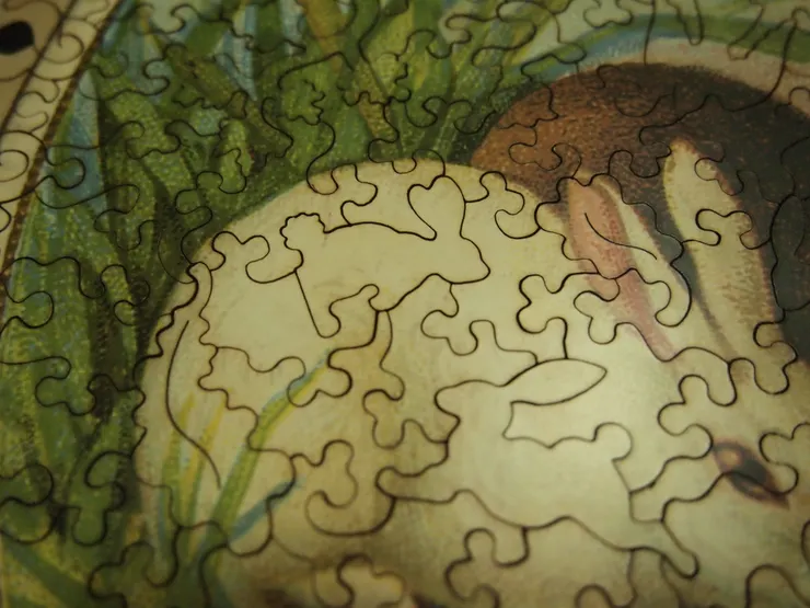 兔子裡有兔子。