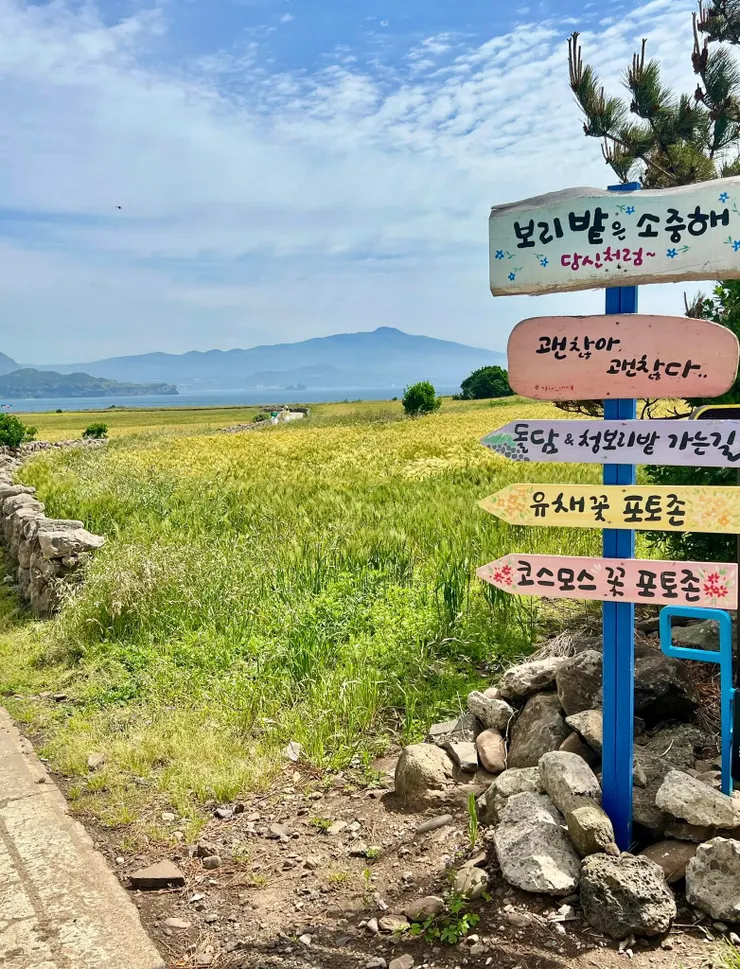 環島公路轉中央公路上很多指標