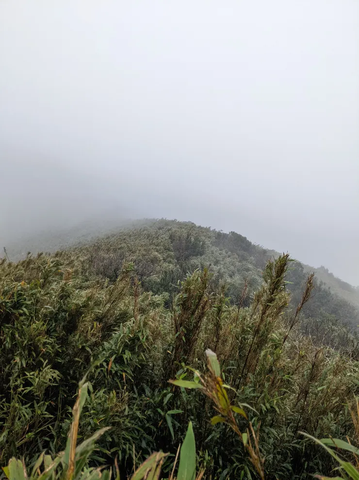 整日白牆甚麼景也沒看到
