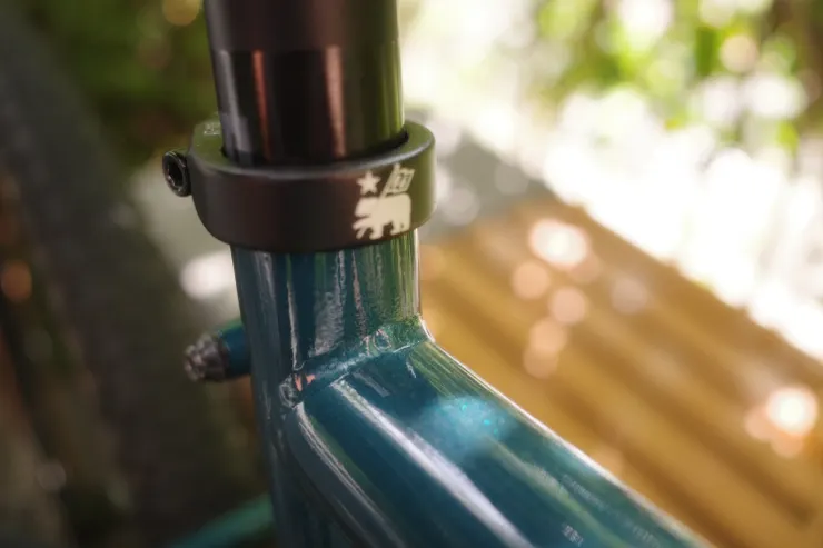 加洲熊無所不在