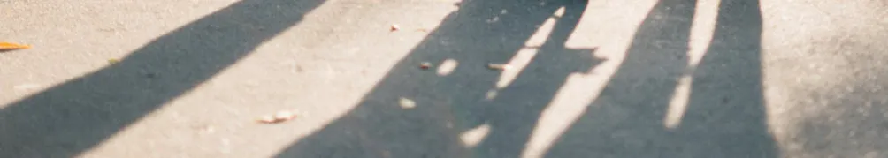 擁抱夕陽的人生的沙龍