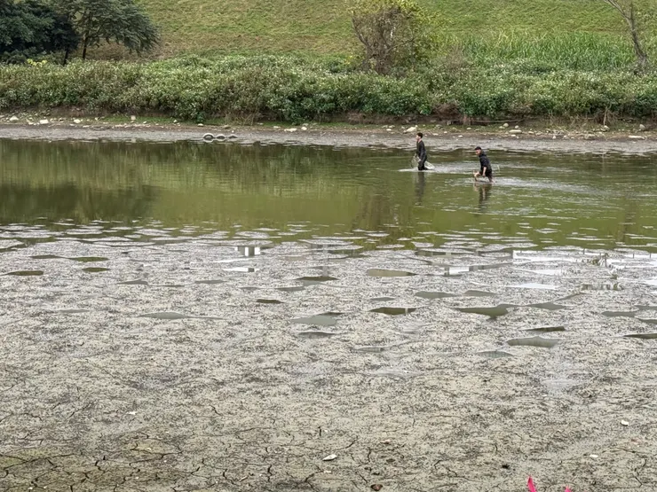 2026/02/16 抓蛤蜊