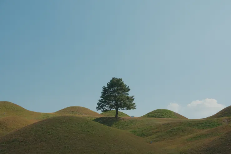 樹木與圓丘共造的魔幻景色。