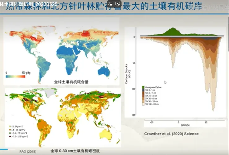 亞熱帶森林有機土壤分佈
