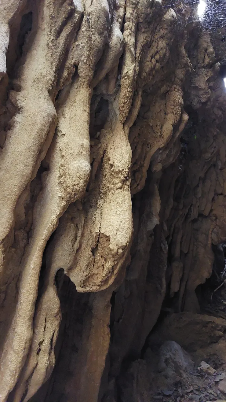 鐘乳石柱受損
