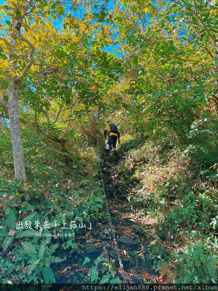 【2025初秋.岡山県真庭市】蒜山三座縱走/下蒜山(海拔11