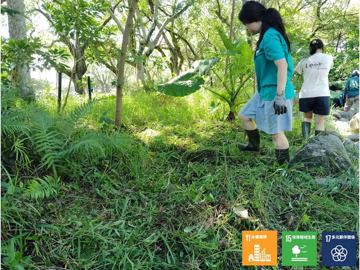 將移除植叢鋪覆在岸邊裸域的陽明夥伴