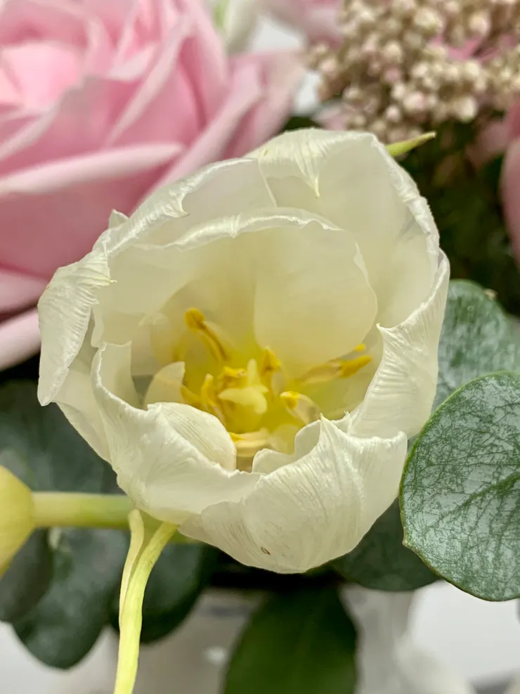 失去張力後的柔軟,是時間教她的秘密曲線。