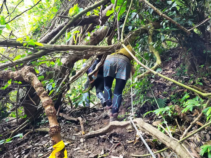 ▲本日行程唯一較難通過的倒木地
