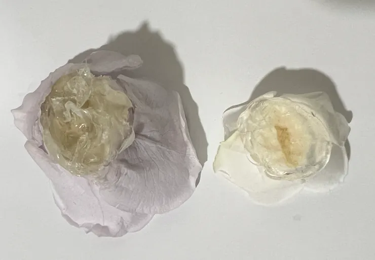 左（塑膠墊）右（硅膠墊）