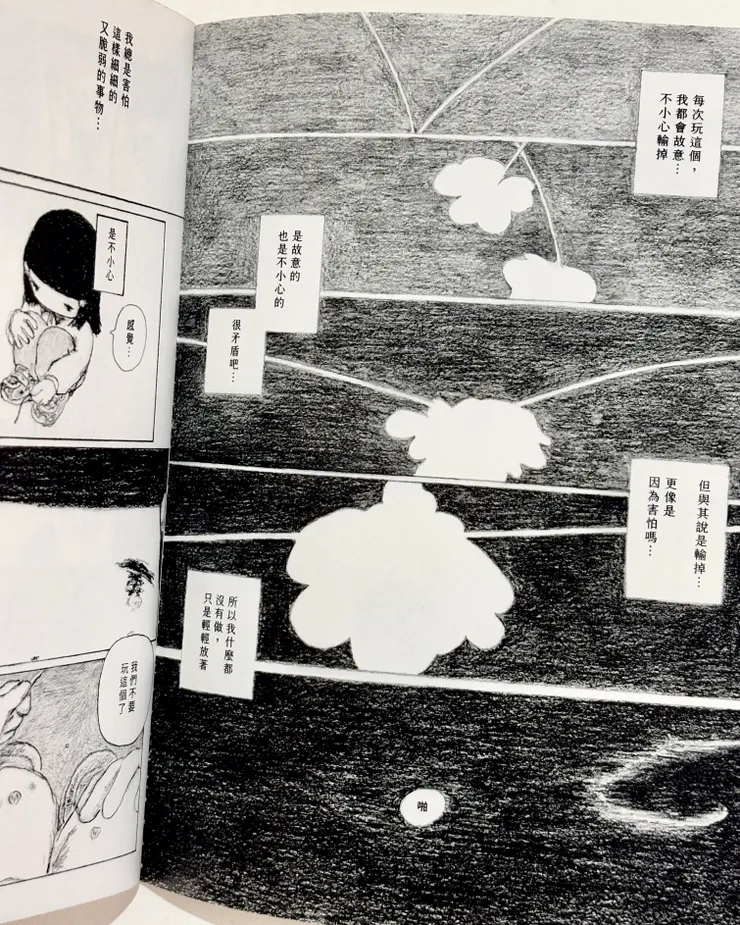 酢漿草的抽象特寫