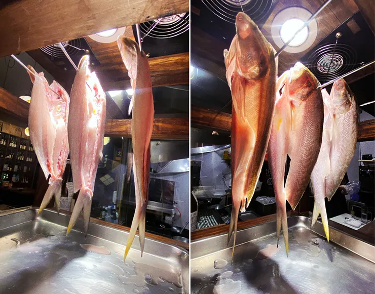 蘆洲居酒屋推薦│京田津居酒屋，氣氛滿點的蘆洲日式串燒店