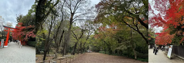 圖片來源:自行拍攝
