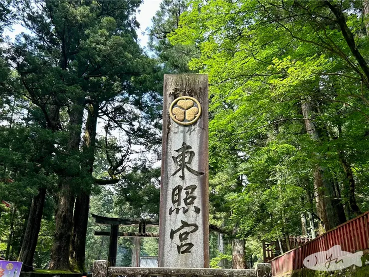 必去東照宮