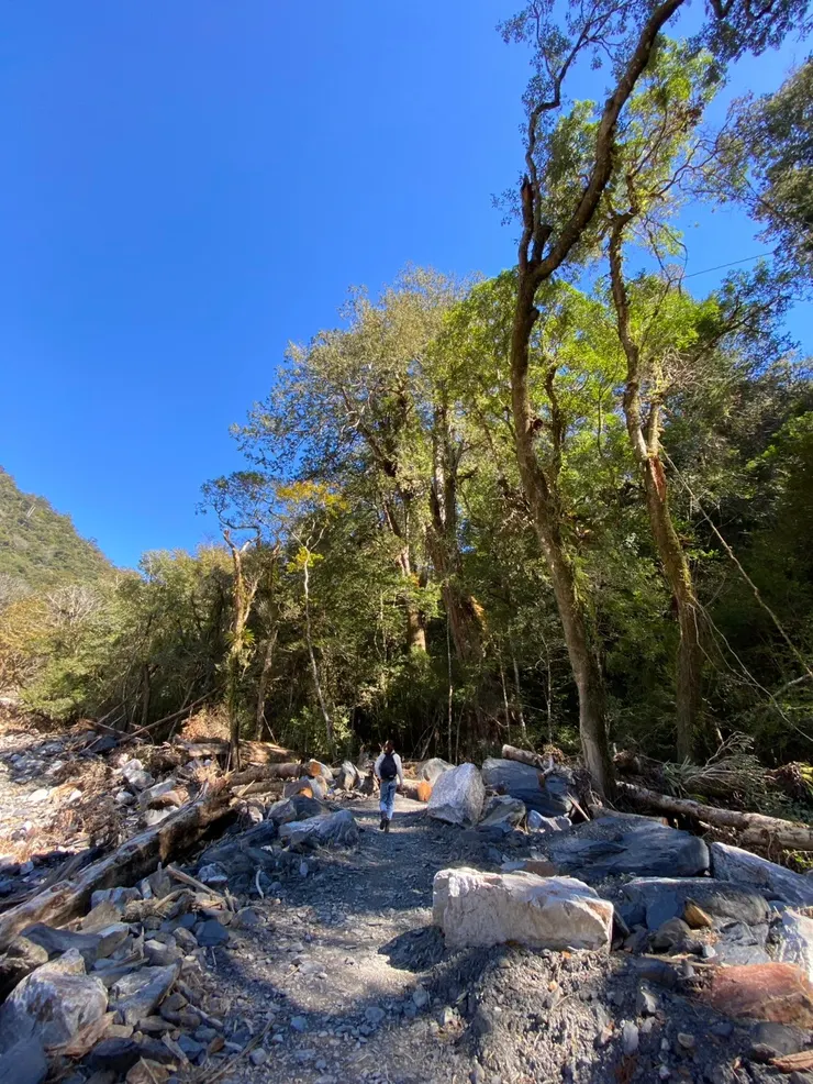 應該滿是樹木蕨類草植的土地，如今被大小碎石佔領