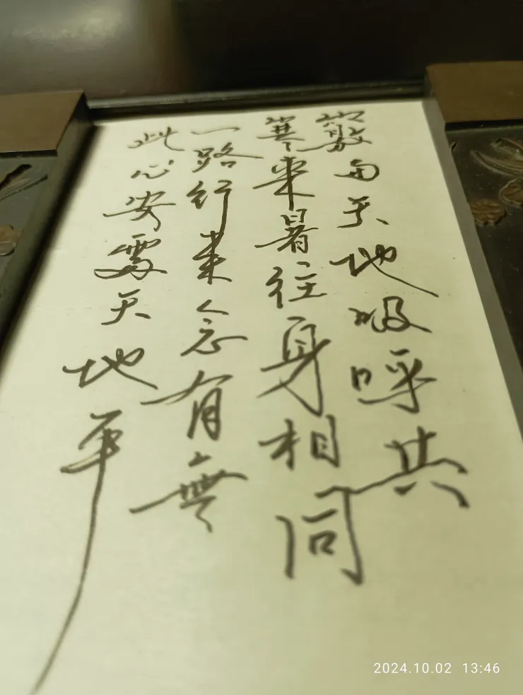 午后太極行感即寫