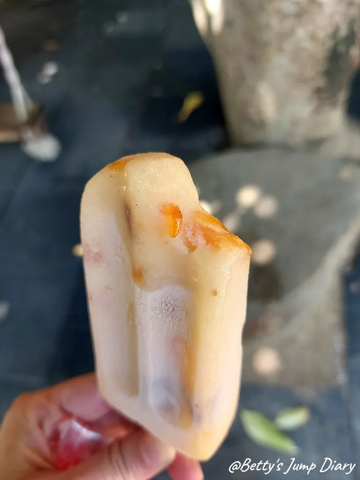 ▲味衛佳柿餅教育農園-柿餅冰棒/ 圖片來源：Betty's Jump Diary