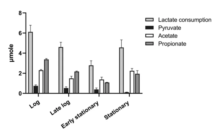 圖一、韋榮氏球菌於四個生長階段的乳酸代謝以及丙酸、醋酸和丙酮酸的生成含量變化。