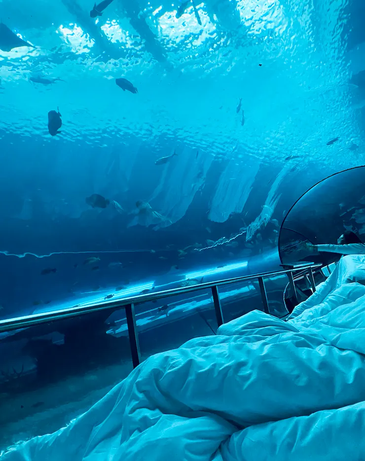🐠《夜宿海生館》海底隧道第3區段,在隧道地板鋪好棉被的樣子。|圖:閒人
