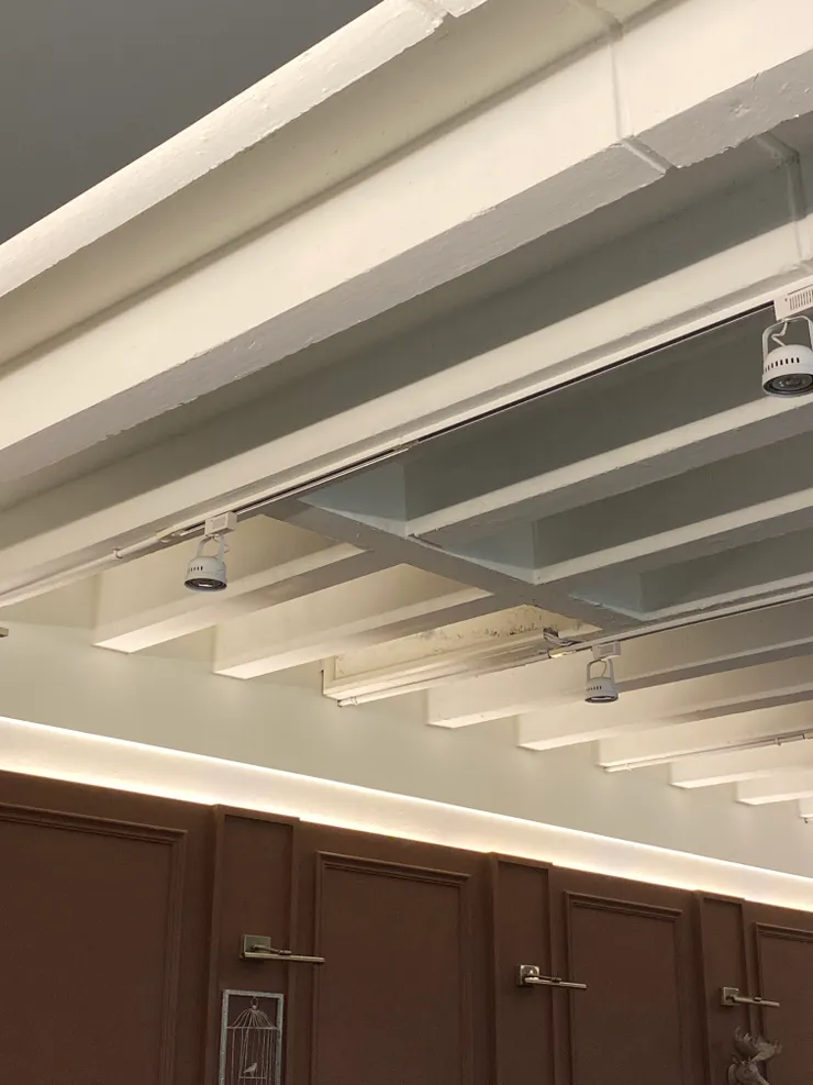 在排列整齊的T型小樑之中，有三根出現銜接的縱梁，不知道用途為何？