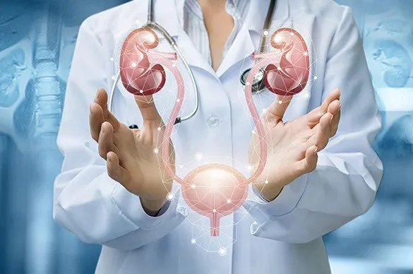 泌尿婦科Urogynecology圖片引自GATLING-MED