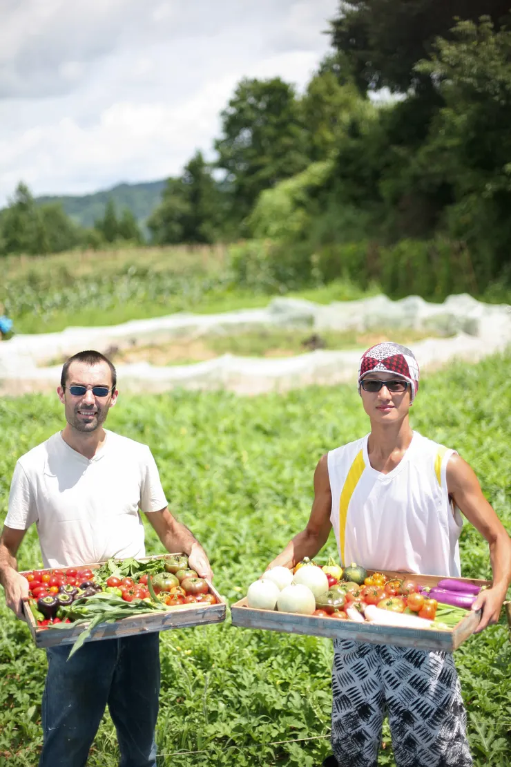 ▲香港農夫Hinson與來自法國的義工在菜田收割。（阿G 攝）