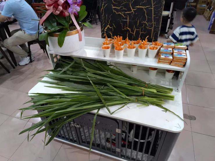 餵動物的食物都在餐廳這賣