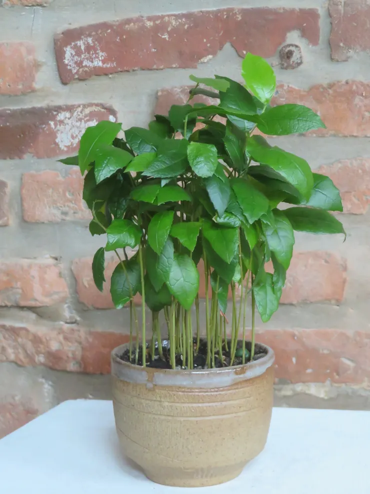 淡水社大111.06.22