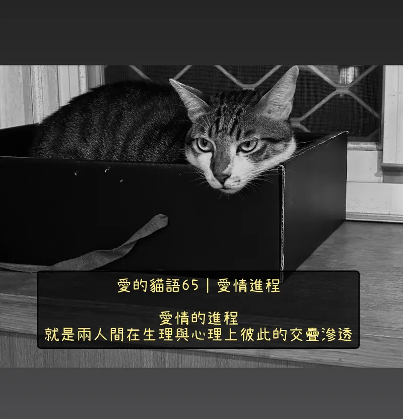src
