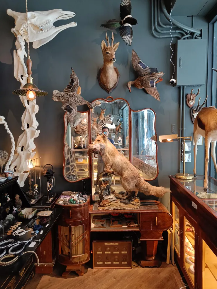 門口右邊的標本